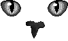 Catface Gif