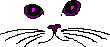 catfaceO03.gif