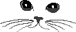 catfaceO06.gif