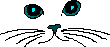 catfaceO07.gif