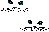 catfaceS01.gif